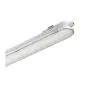 Philips LED Loisteputkivalaisimet Vedenkestävä CoreLine WT120C 29W 3400lm - 840 Kylmä Valkoinen | 150cm - Dali Himmennettävä